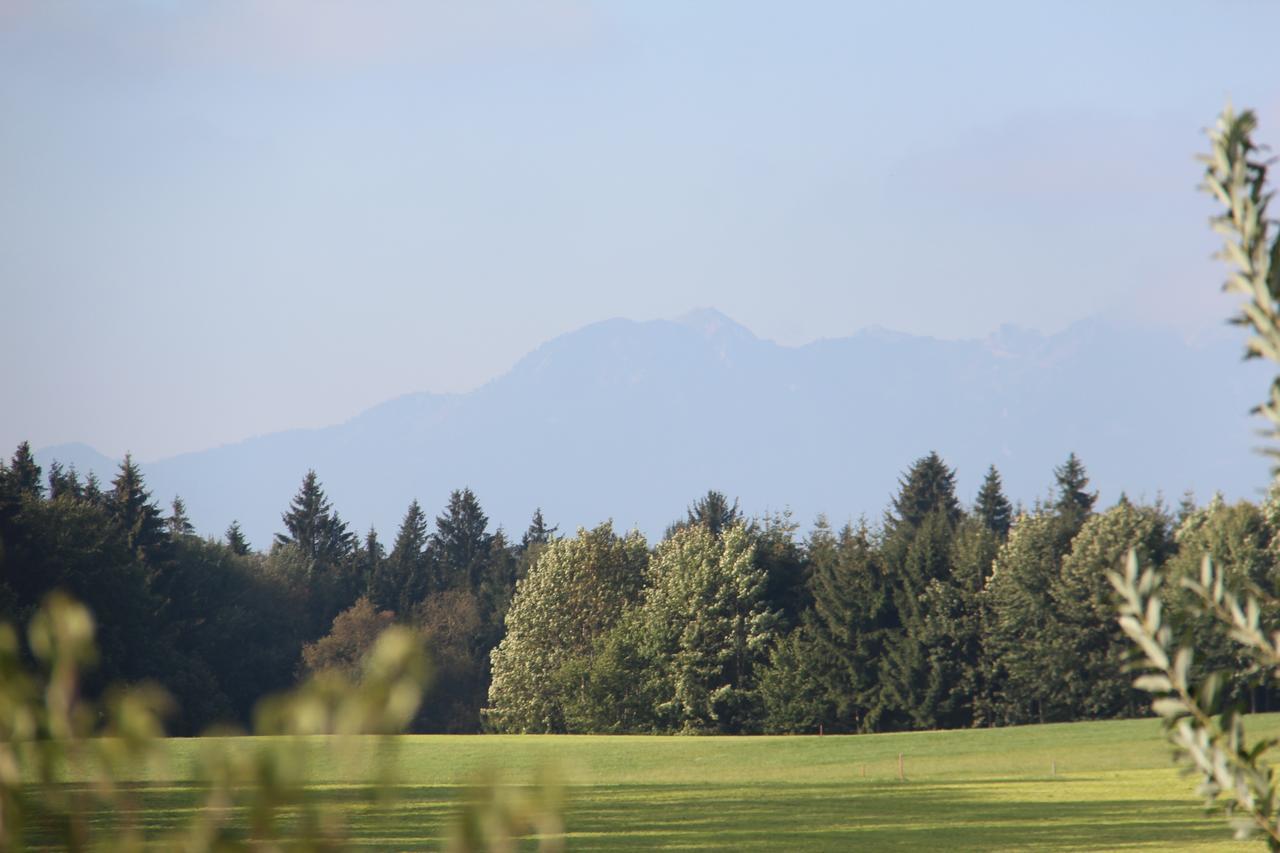 Hotel Alpenblick Riedering Eksteriør billede